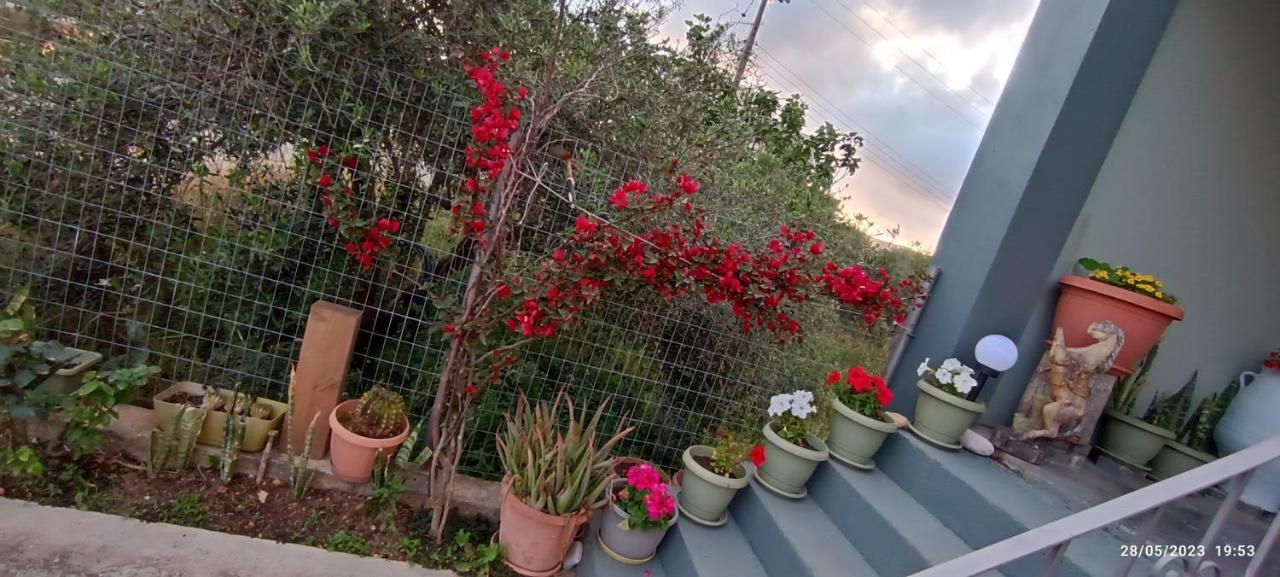 Marilidiahouse Villa Tzigkouna Екстериор снимка